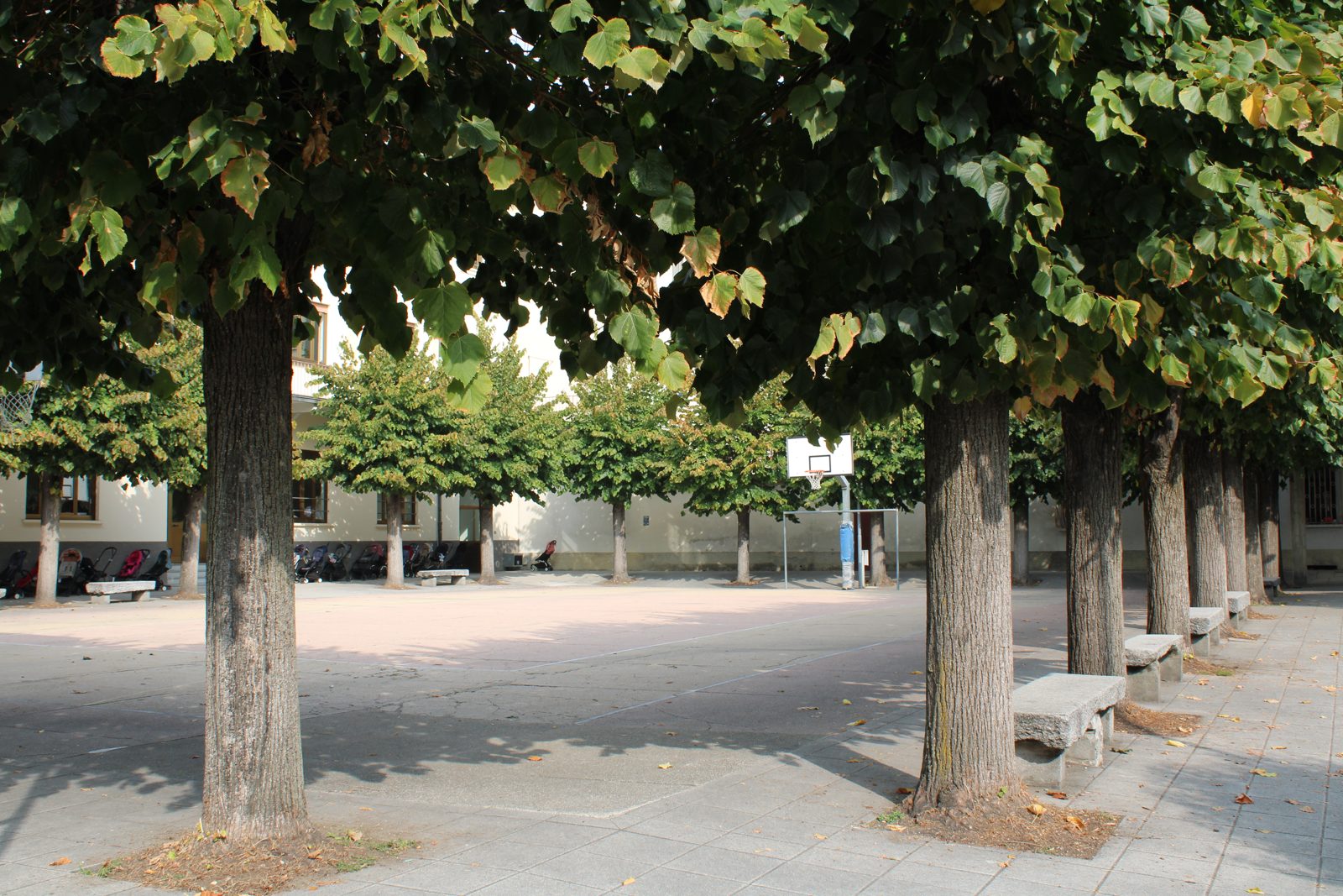Il grande cortile alberato della scuola